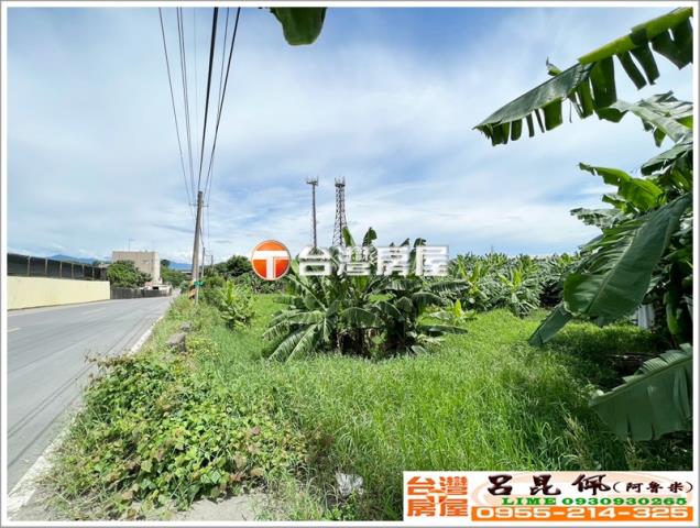 竹崎農地-5