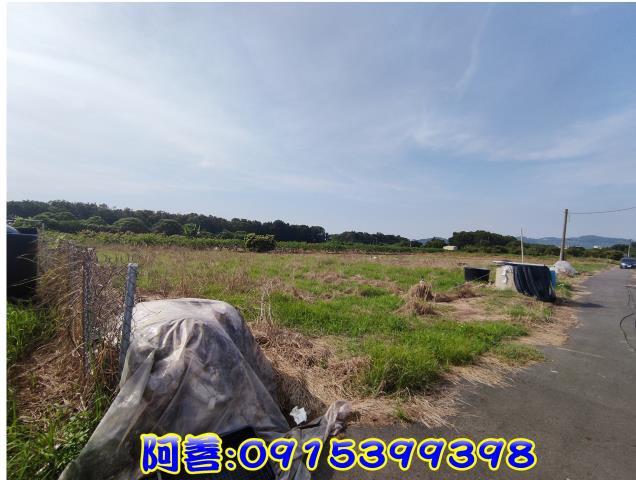玉井農地-15