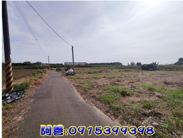 玉井農地-3