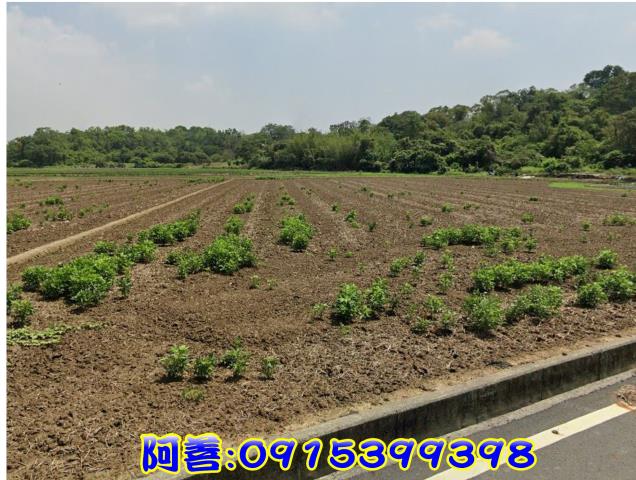 官田農地-4