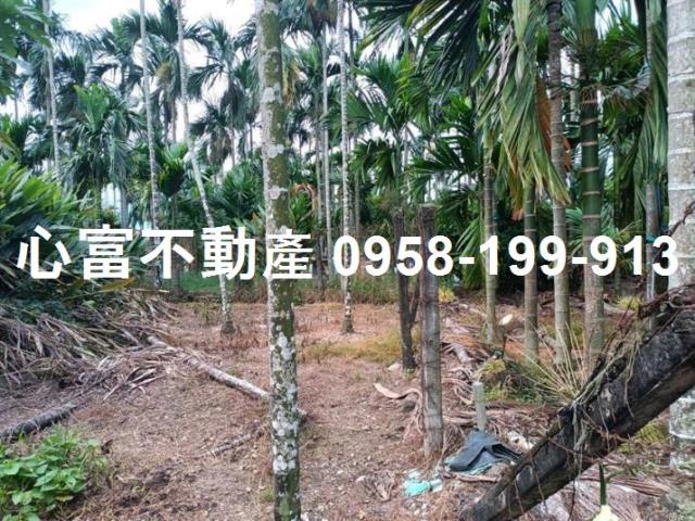 屏東農地-1