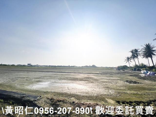 台南農地-8