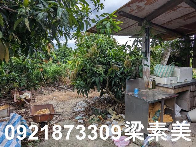 大內建地-14