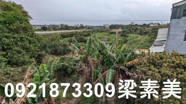 大內建地-9