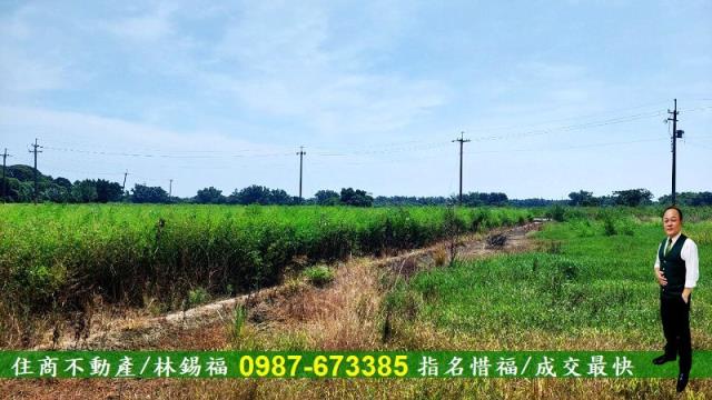 官田農地-11