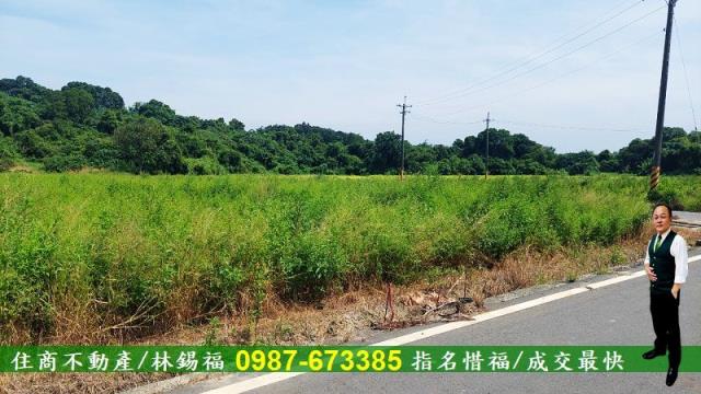 官田農地-9