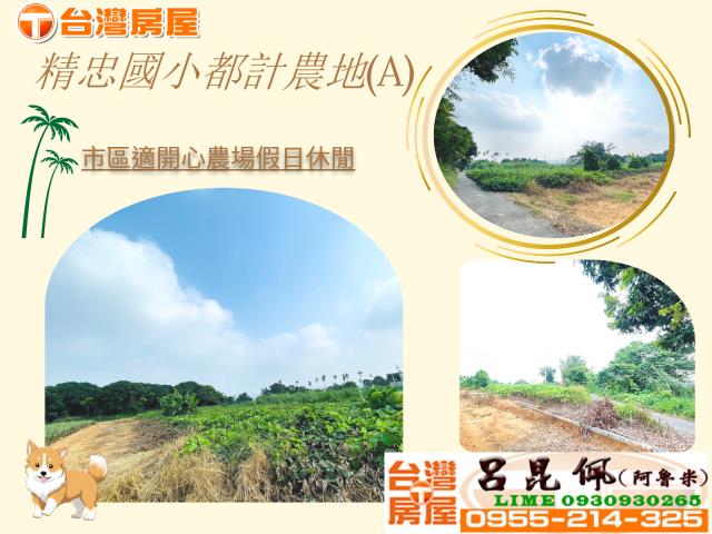 東區農地-1