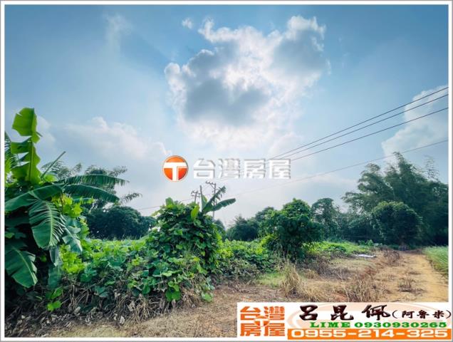 東區農地-4