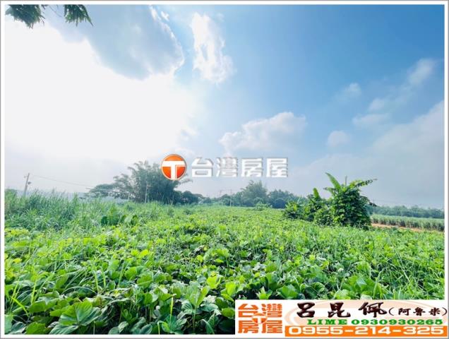 東區農地-5