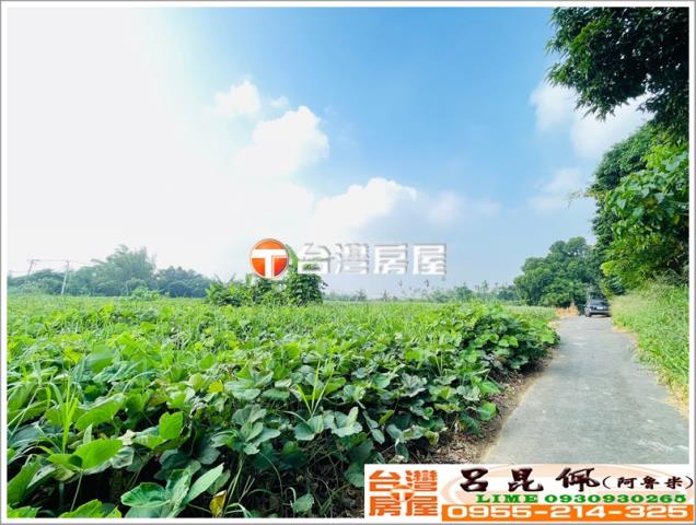 東區農地-8