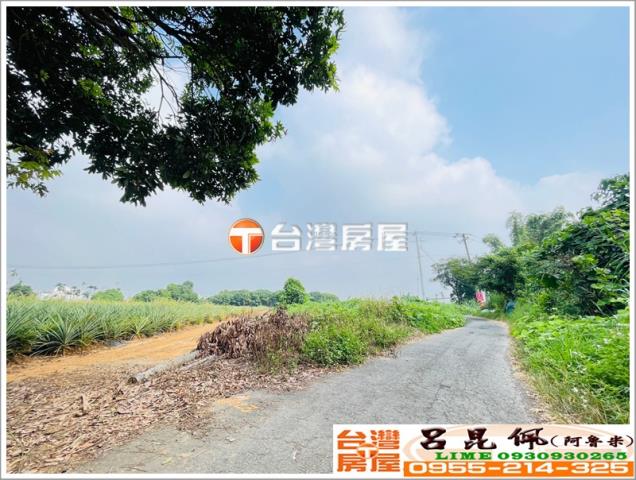 東區農地-2