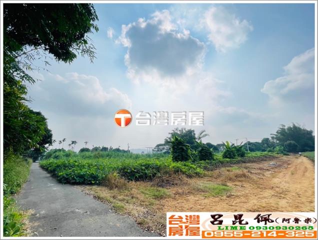 東區農地-6