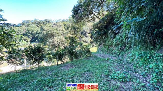 新竹休閒地-4