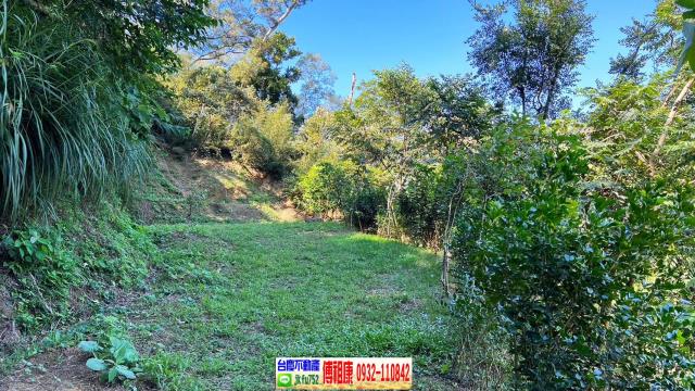 新竹休閒地-5