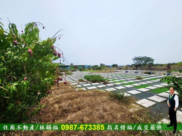 仁德農地-11
