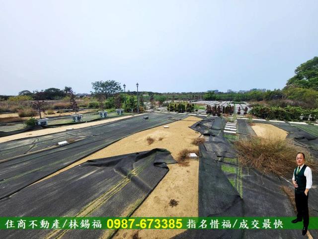 仁德農地-12