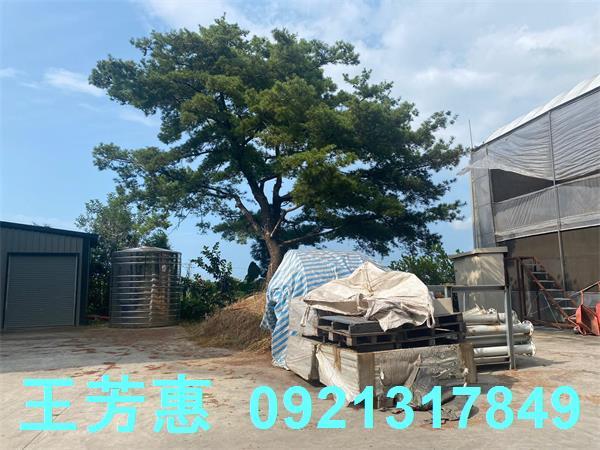 台中外埔農地-11
