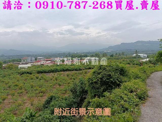 台南玉井農地-12