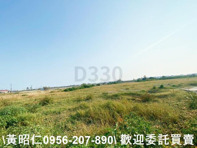 台南仁德農地-1