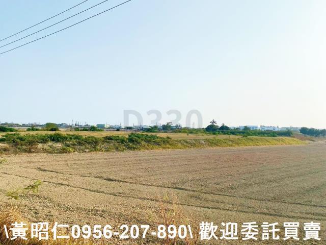 台南仁德農地-2