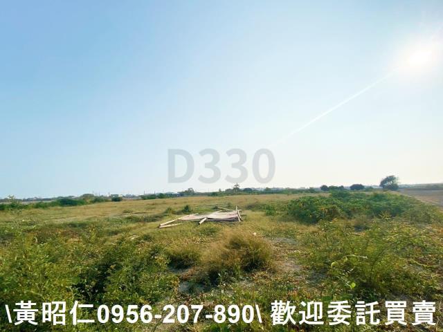 台南仁德農地-6