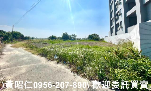 台南西港農地-6