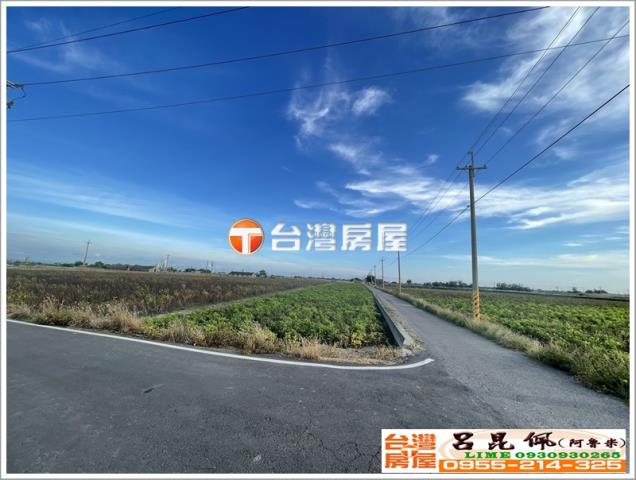 布袋農地-4