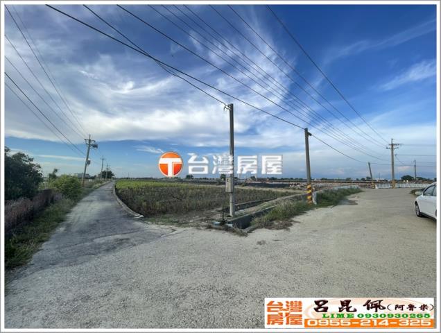 布袋農地-5