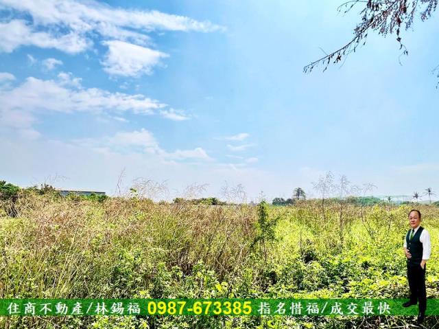 台南安南農地-5