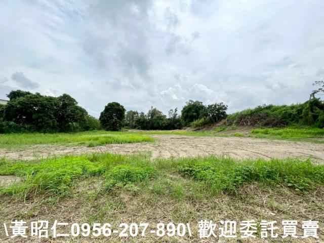 善化農地-13
