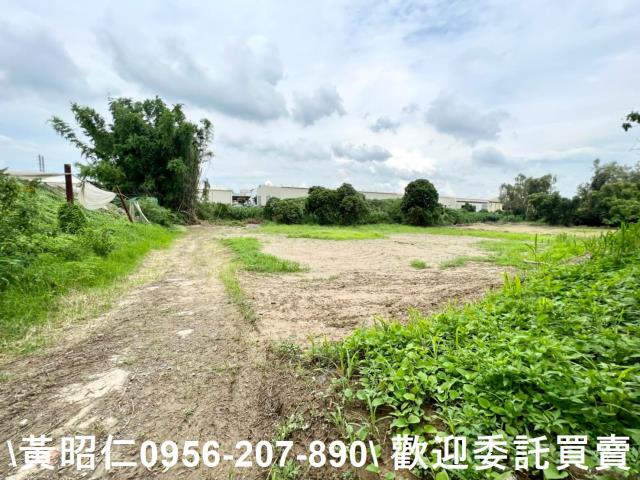善化農地-1