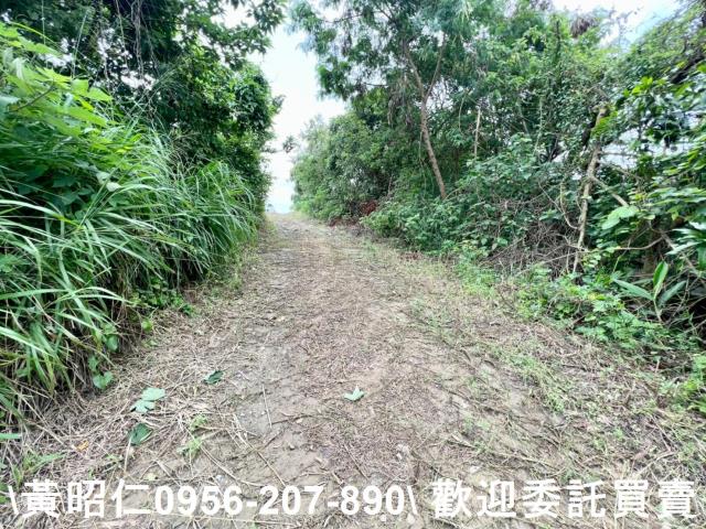 善化農地-2
