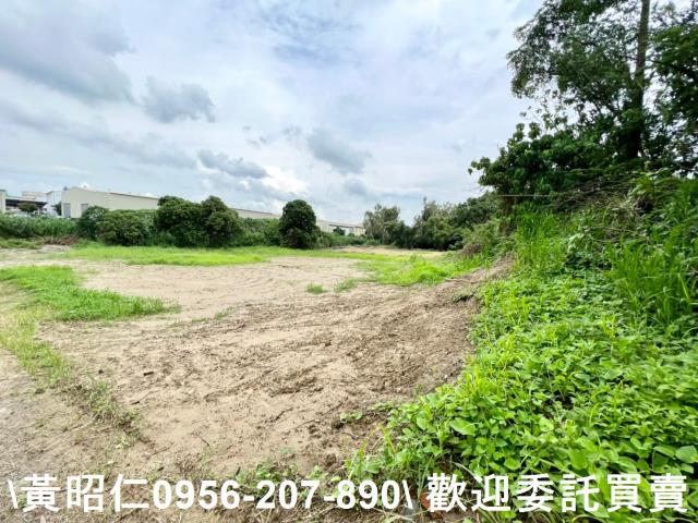 善化農地-3