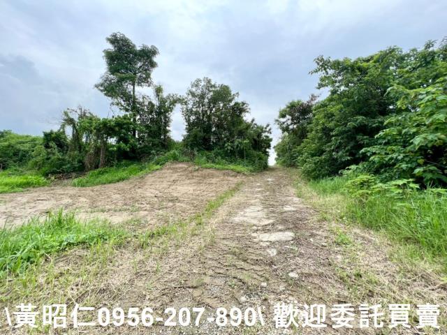 善化農地-4