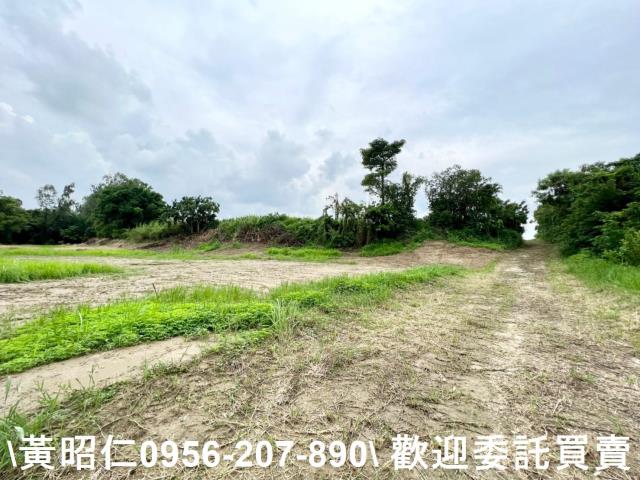 善化農地-5