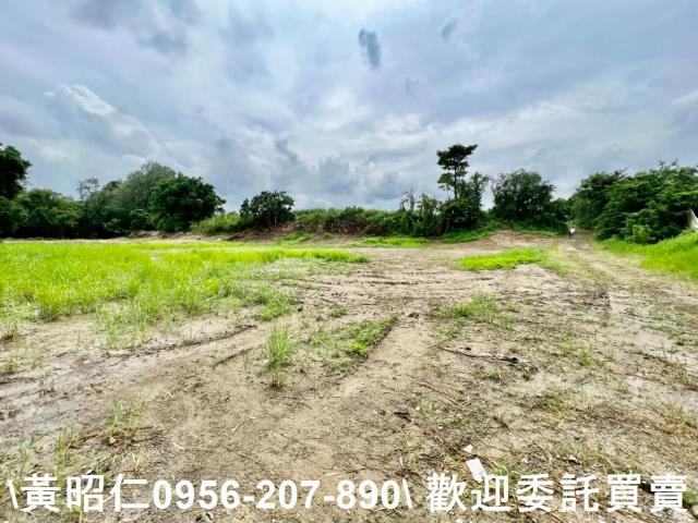 善化農地-8