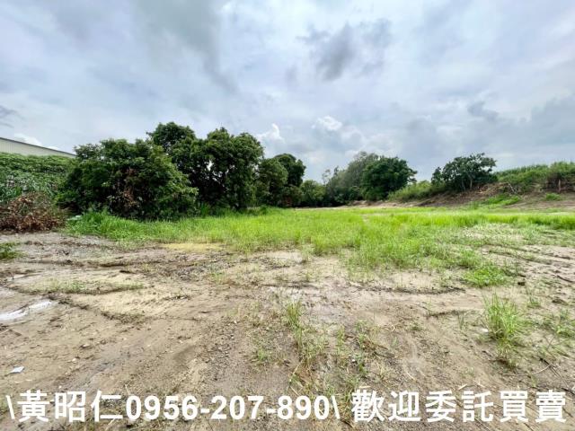 善化農地-9
