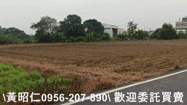 台南新市農地-12