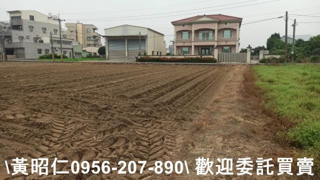 台南新市農地-13
