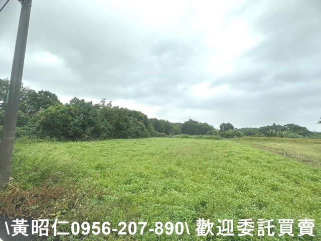 台南新市農地-7