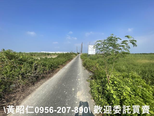 台南新市農地-2