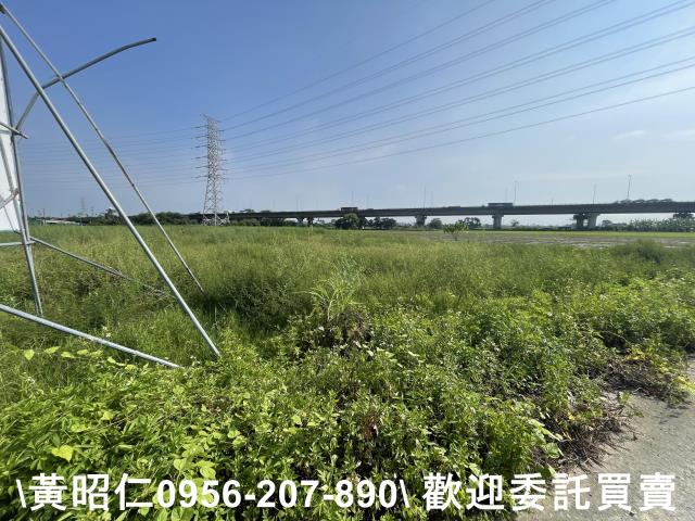 台南新市農地-4