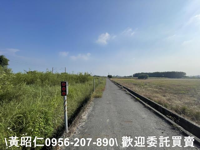 台南新市農地-2