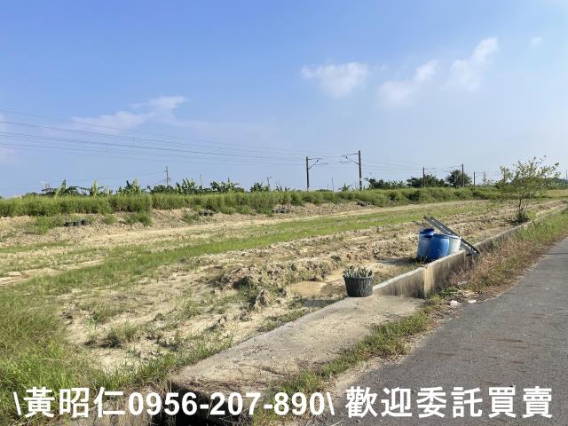 台南新市農地-4