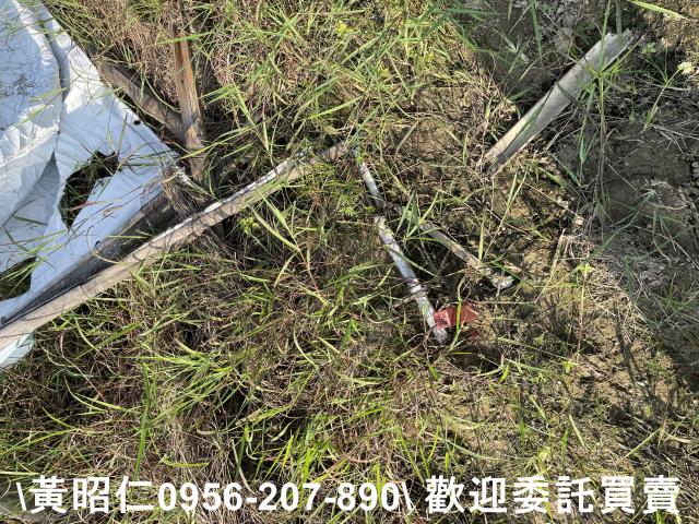 台南新市農地-8