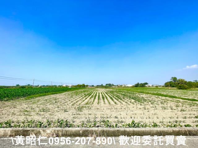 台南西港農地-3