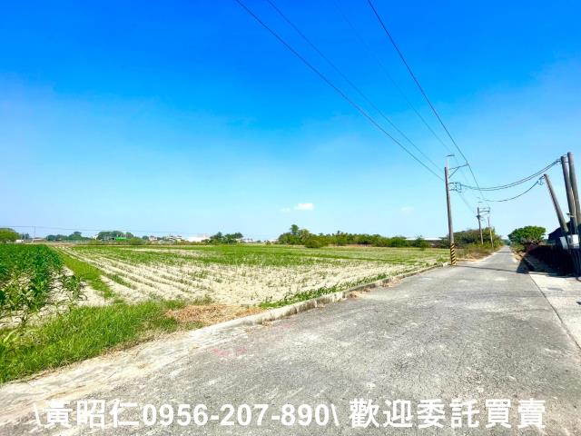 台南西港農地-4