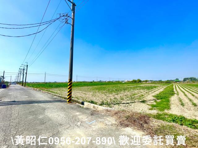 台南西港農地-6