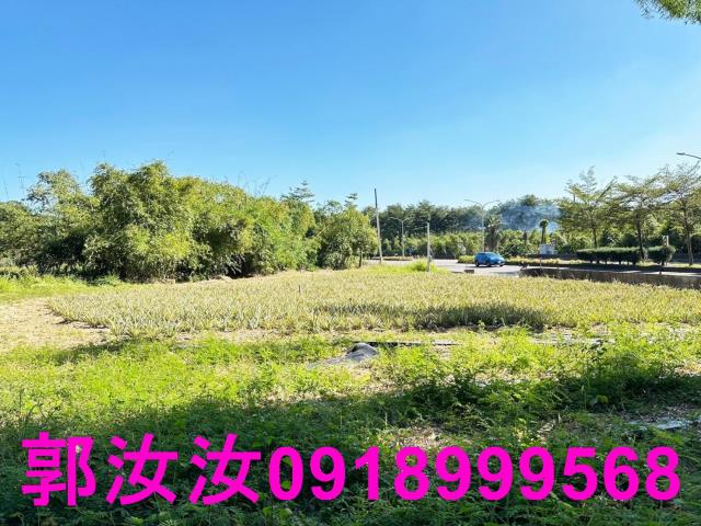 台南關廟農地-12