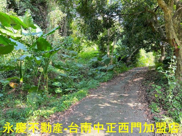 東山農地-10